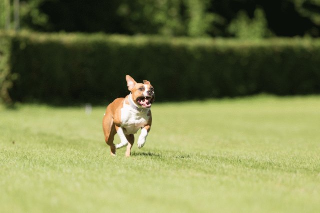 Cs3Q4886 20487424312 O