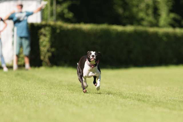 Cs3Q4864 20487443512 O