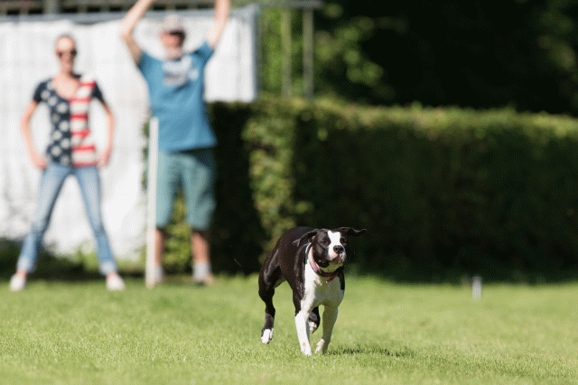 Cs3Q4859 20487446412 O