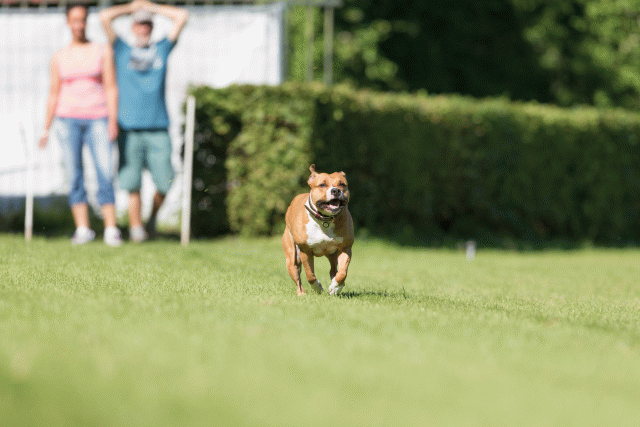 Cs3Q4821 20487458702 O