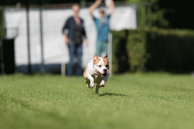 Cs3Q4810 20487466142 O