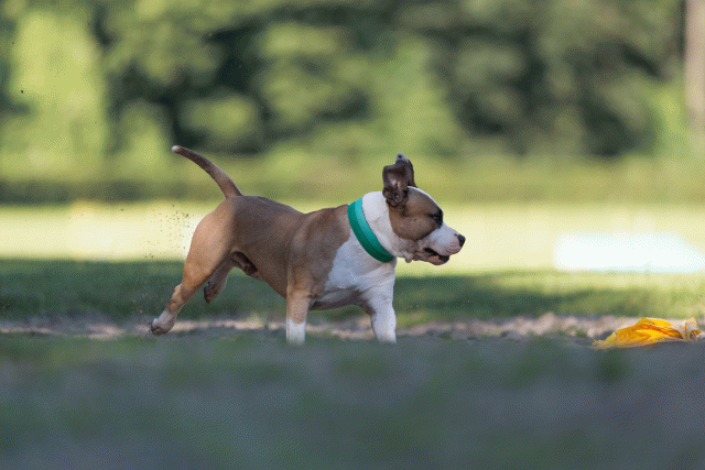 Cs3Q4499 20487552212 O