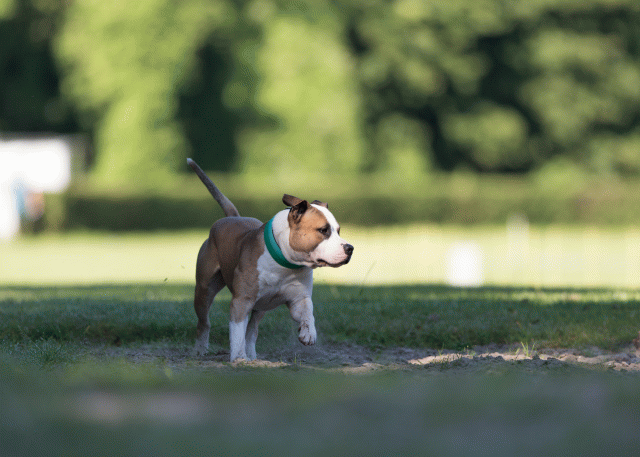 Cs3Q4497 20487555292 O