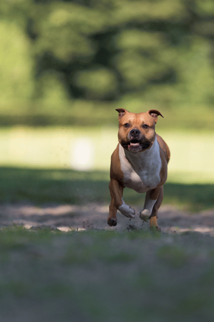 Cs3Q4489 20487562402 O