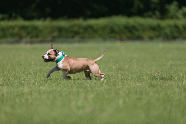 Cs3Q5202 20495483285 O