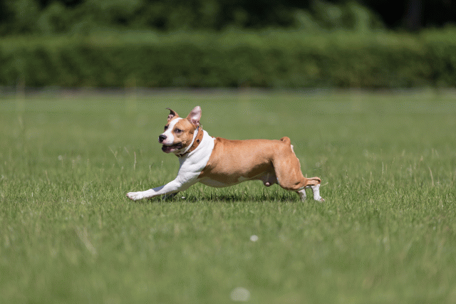 Cs3Q5225 20496031265 O