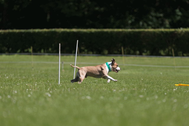 Cs3Q5223 20496033535 O