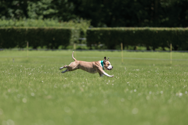 Cs3Q5222 20496034625 O