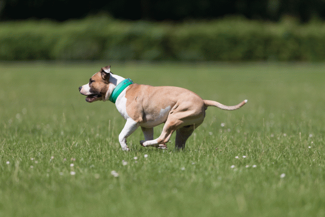 Cs3Q5211 20496041245 O