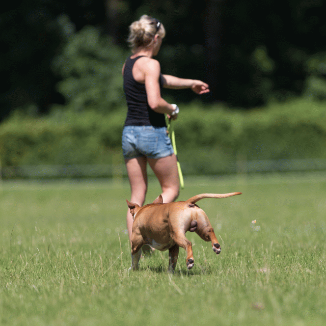 Cs3Q5190 20496059165 O