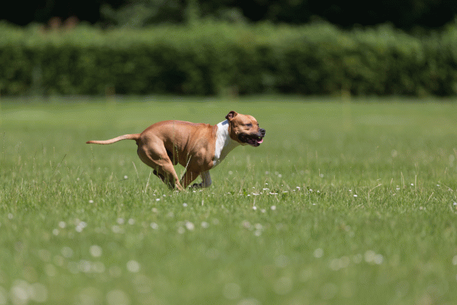 Cs3Q5165 20496083555 O