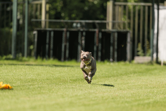 Cs3Q5132 20496099415 O