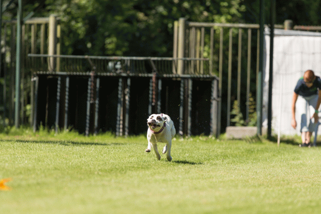 Cs3Q5118 20496106865 O