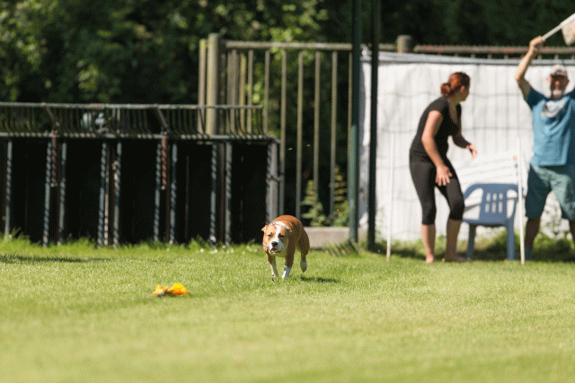 Cs3Q5111 20496111515 O