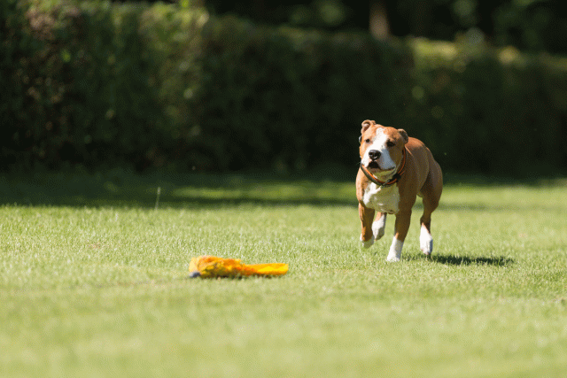 Cs3Q5088 20496128655 O