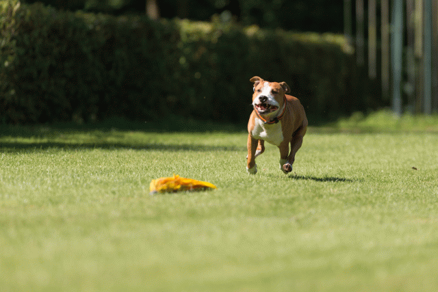 Cs3Q5085 20496130695 O