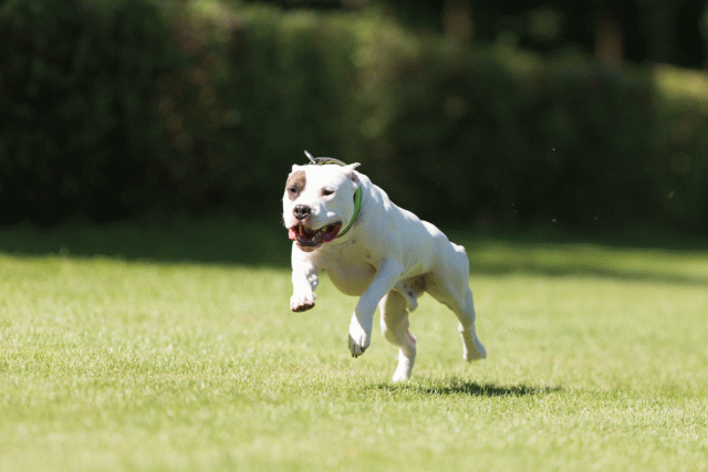 Cs3Q5080 20496133495 O