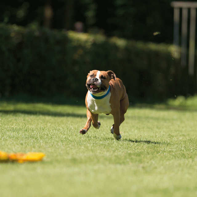 Cs3Q5066 20496142955 O