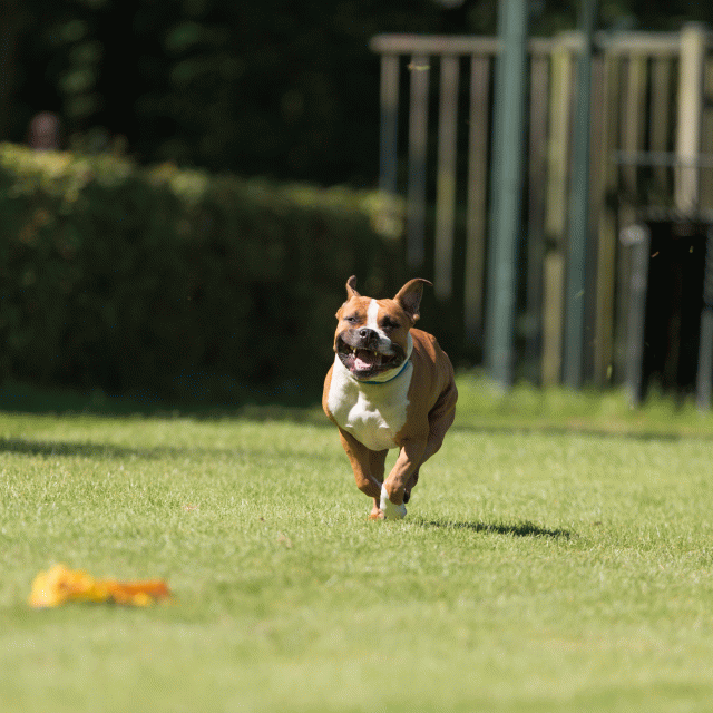 Cs3Q5063 20496145255 O