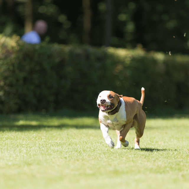 Cs3Q5057 20496147435 O