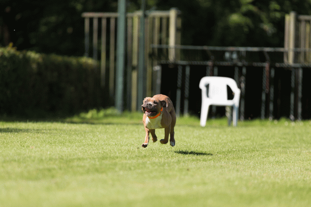 Cs3Q5034 20496162565 O