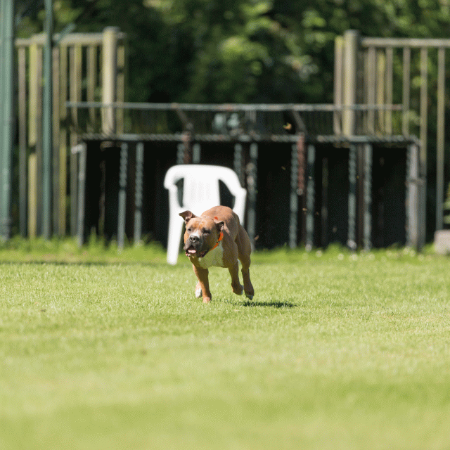 Cs3Q5030 20496166645 O