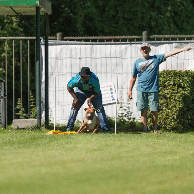 Cs3Q5028 20496168685 O