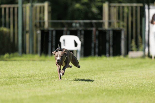 Cs3Q5025 20496171185 O