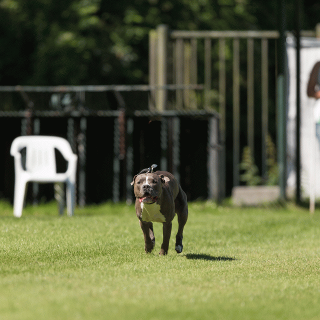 Cs3Q5019 20496176795 O