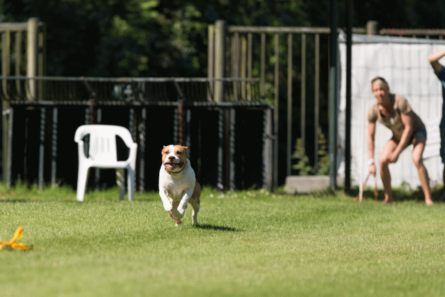 Cs3Q5007 20496186055 O