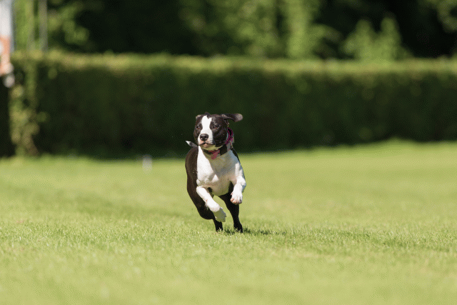 Cs3Q4869 20496243625 O