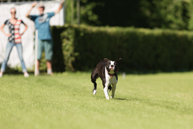 Cs3Q4863 20496248305 O