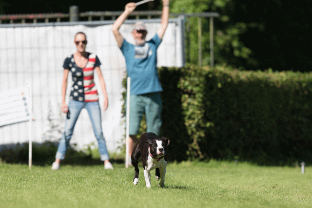 Cs3Q4851 20496253825 O