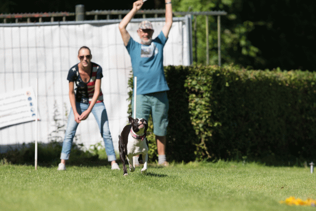 Cs3Q4848 20496254615 O