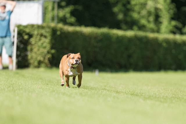 Cs3Q4824 20496259435 O