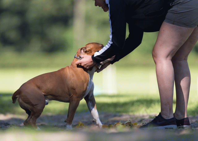 Cs3Q4706 20496279755 O