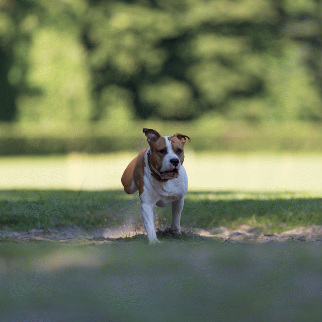 Cs3Q4514 20496347255 O