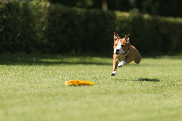 Cs3Q5087 20501778691 O