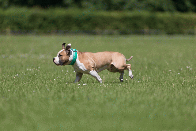 Cs3Q5205 20502342841 O