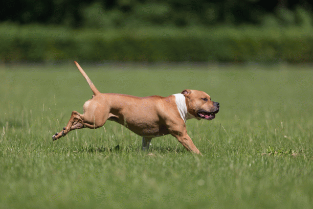 Cs3Q5187 20502356381 O