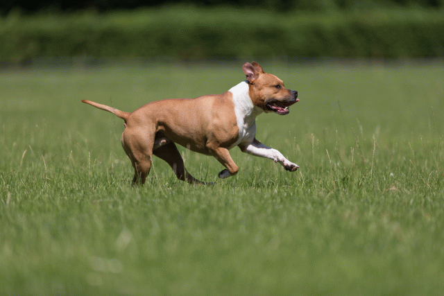 Cs3Q5185 20502359771 O