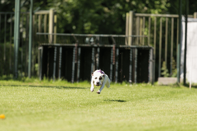 Cs3Q5120 20502399851 O