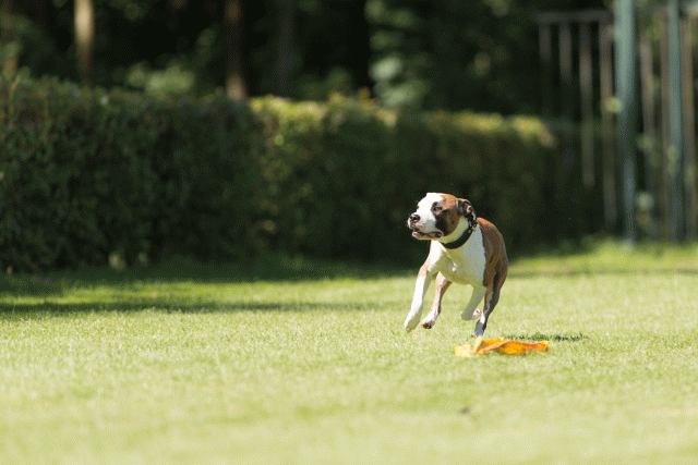 Cs3Q5106 20502409781 O