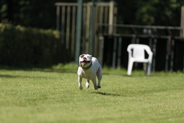 Cs3Q5071 20502438071 O