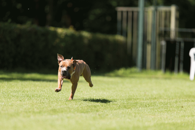 Cs3Q5040 20502452841 O