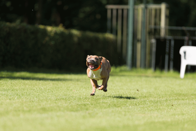 Cs3Q5038 20502454861 O