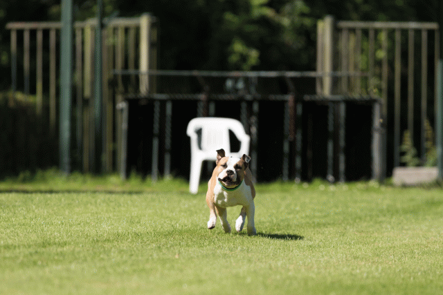 Cs3Q4995 20502491431 O