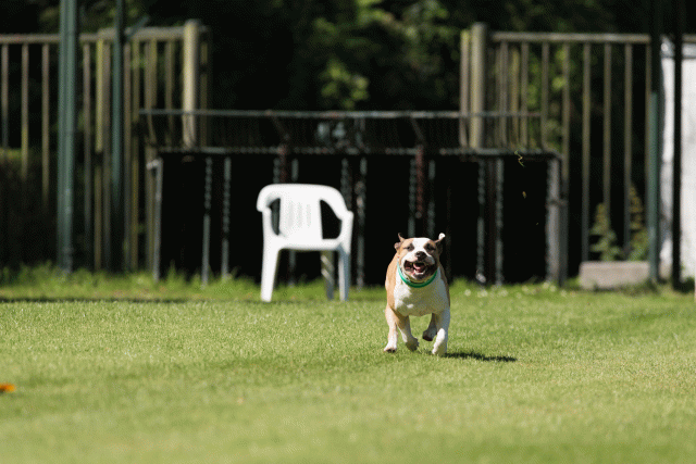 Cs3Q4992 20502493271 O