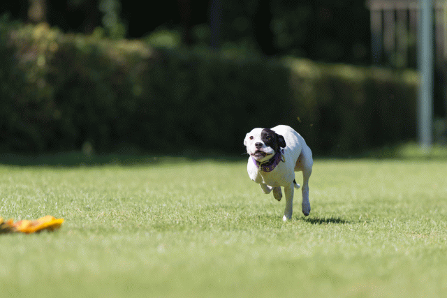 Cs3Q4978 20502495091 O