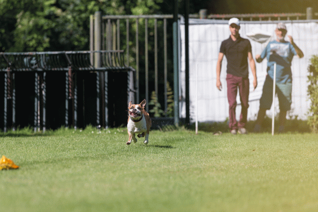 Cs3Q4904 20502513681 O